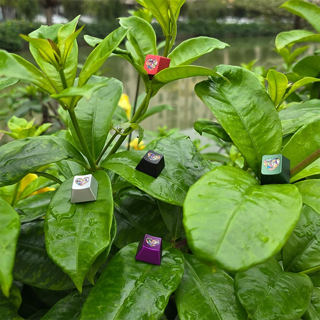 Vibrant 玻璃心原厂 R4 轮廓 220 目阳极氧化铝合金 ESC 行键帽