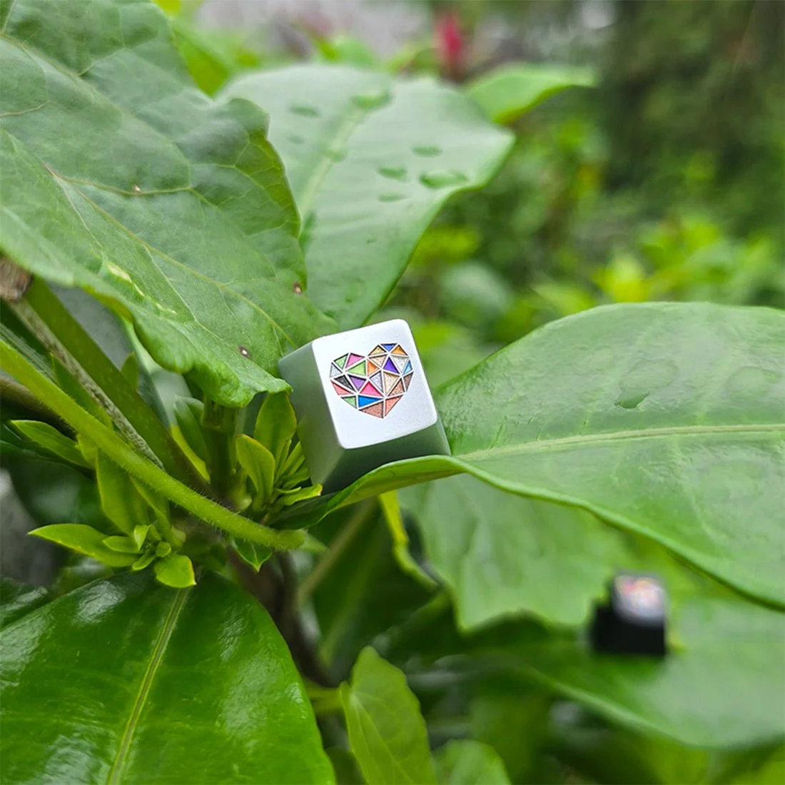 Vibrant 玻璃心原厂 R4 轮廓 220 目阳极氧化铝合金 ESC 行键帽