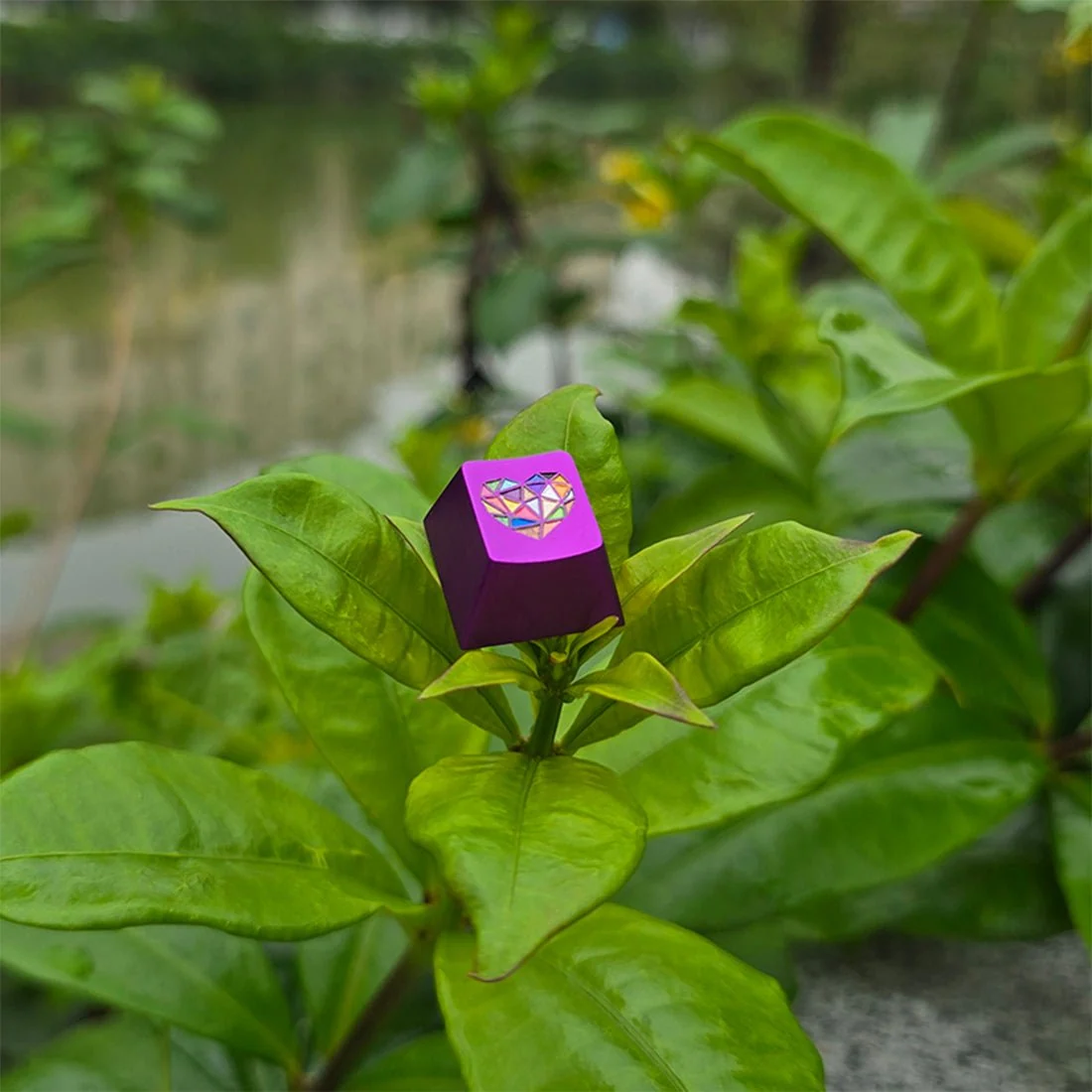 Vibrant 玻璃心原厂 R4 轮廓 220 目阳极氧化铝合金 ESC 行键帽