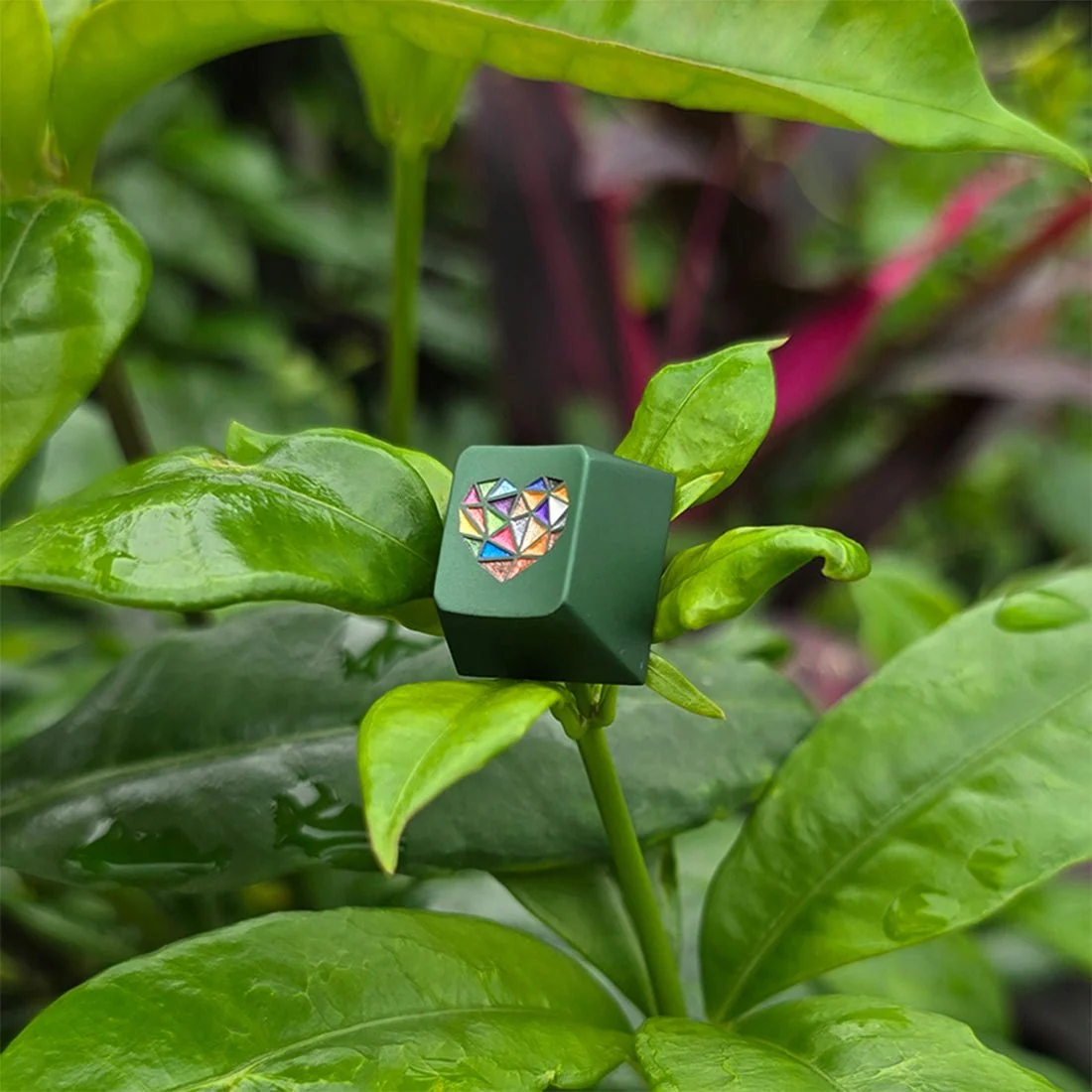 Vibrant 玻璃心原厂 R4 轮廓 220 目阳极氧化铝合金 ESC 行键帽