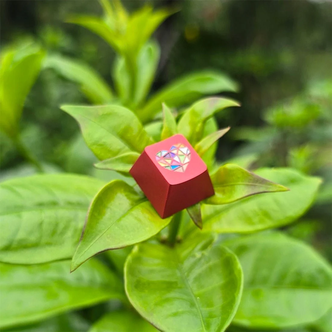 Vibrant 玻璃心原厂 R4 轮廓 220 目阳极氧化铝合金 ESC 行键帽